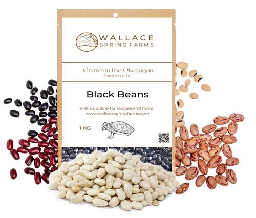 Wallace-Springs-Farms-Armstrong-Beans Wallace Spring Farms Labels