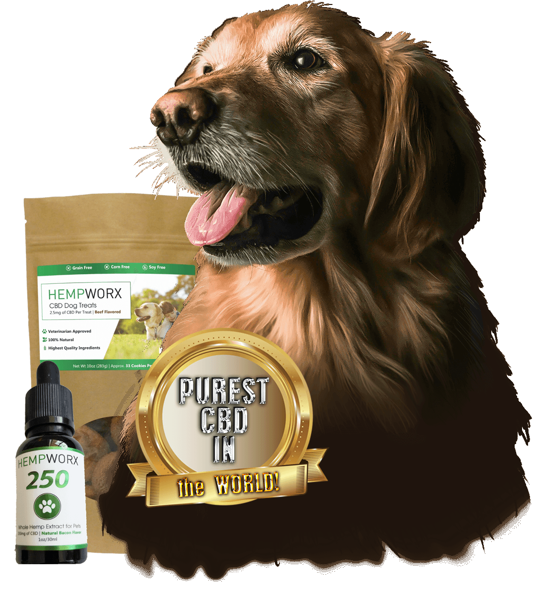 home_animalshelter_slider_pic4