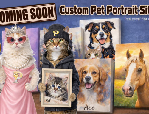 Custom Modern Pet Portraits for Canada